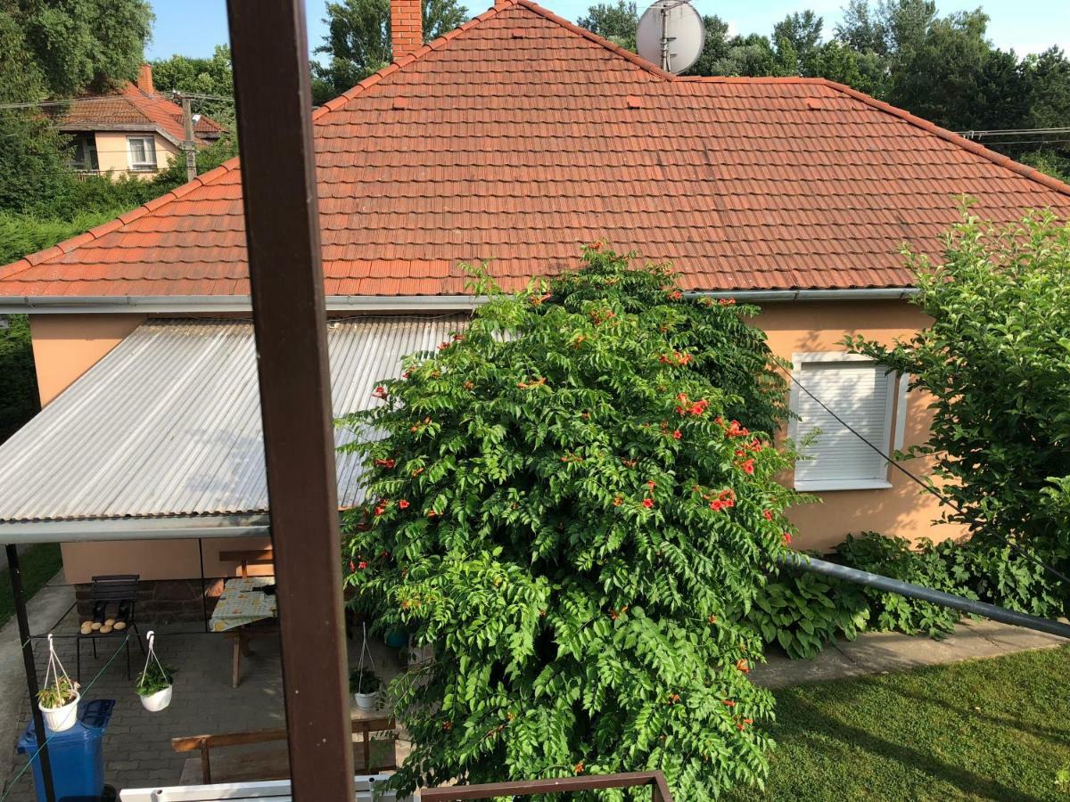 Liget Apartman Balatonföldvár Exteriér fotografie